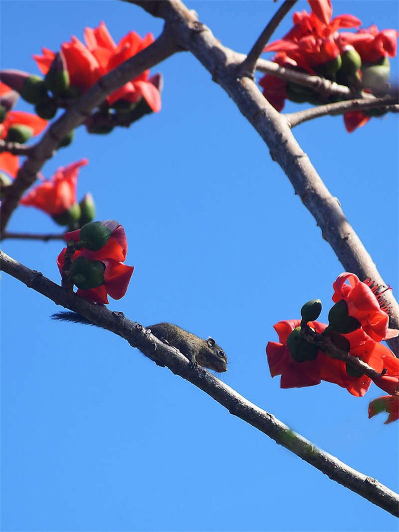 20240220171558_48432