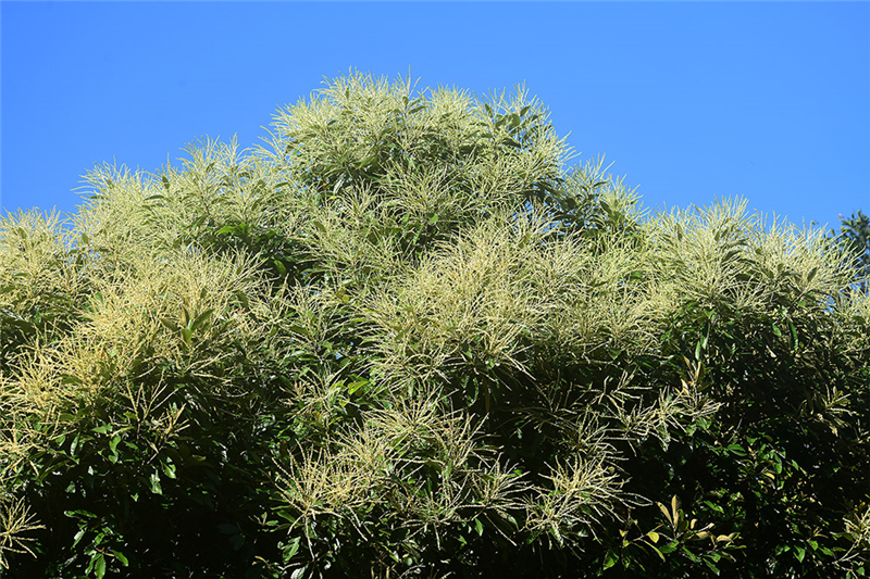 20240227172216_78882