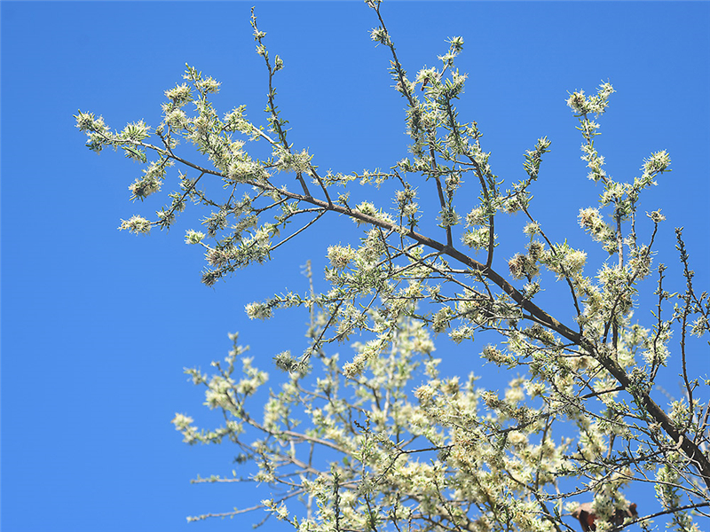 20240227172053_41534