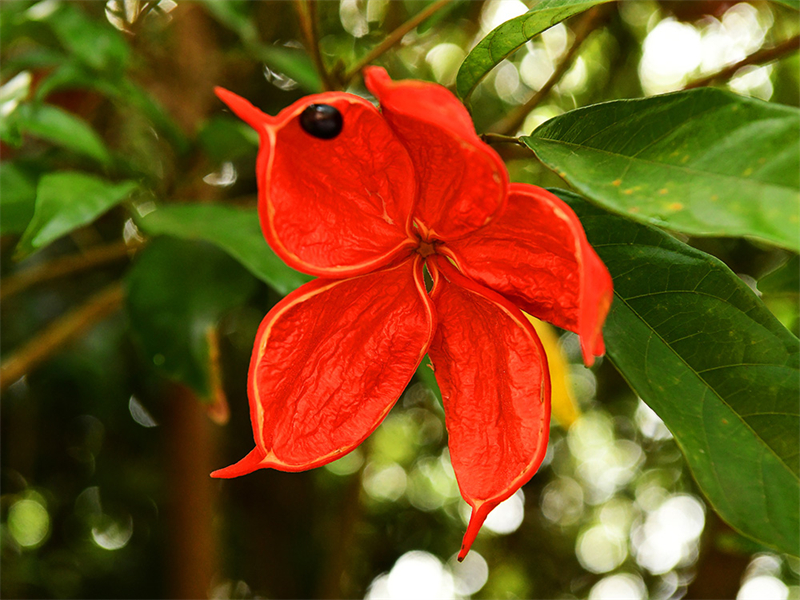 20240612232319_60489 20240612232319_60489