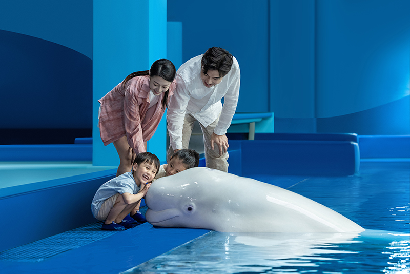 Beluga Photo Fun探班白鯨明星 (3)