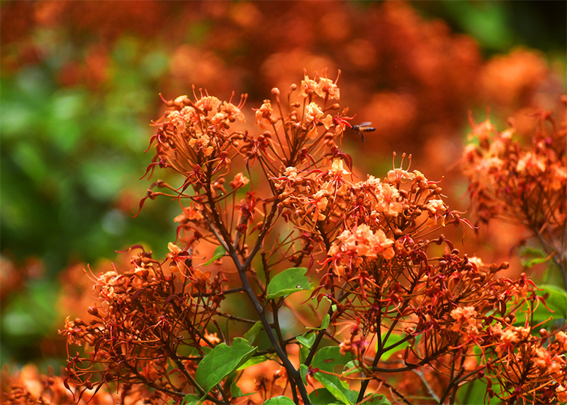 20240826165322_79648 20240826165322_79648