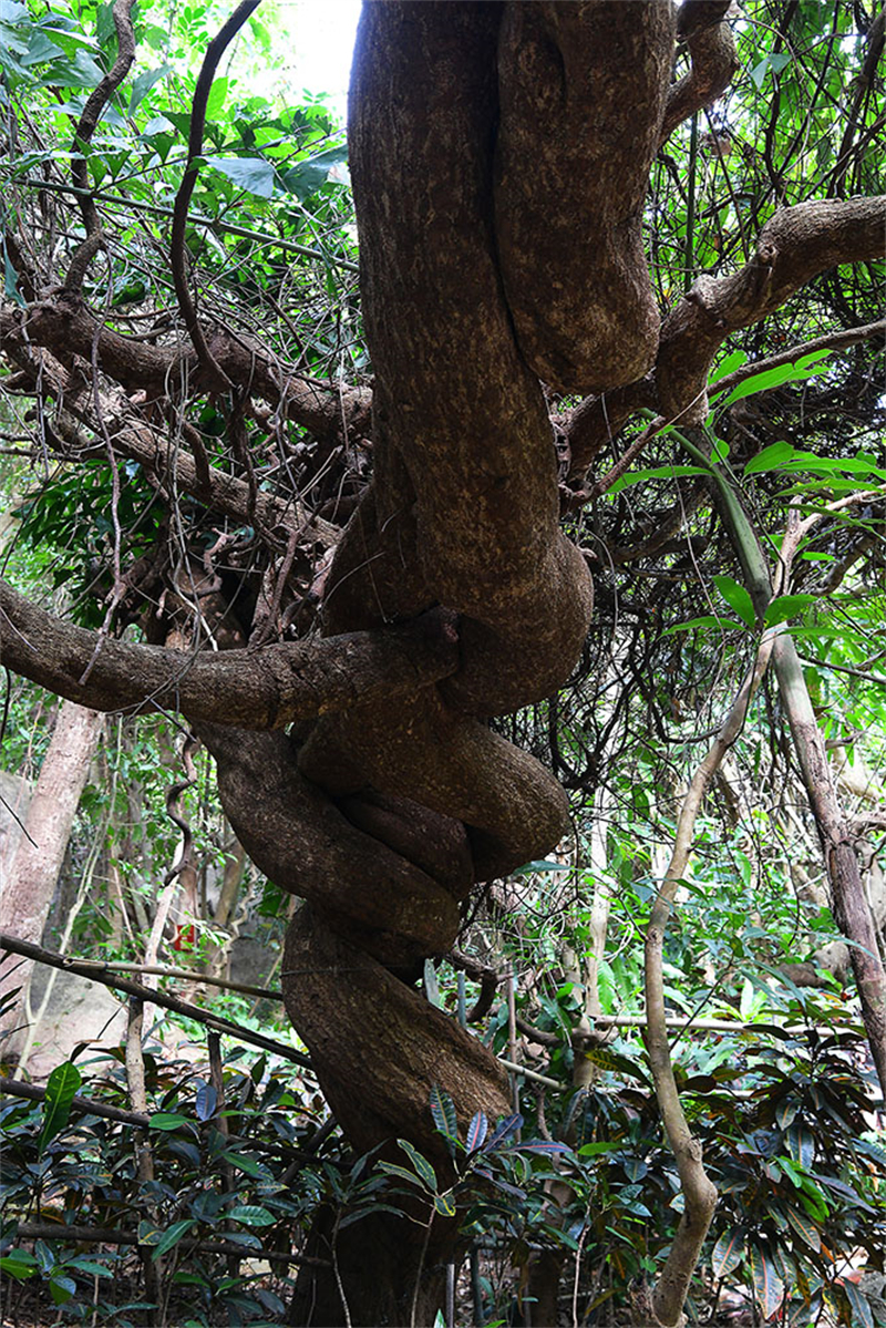 20241218221828_18642