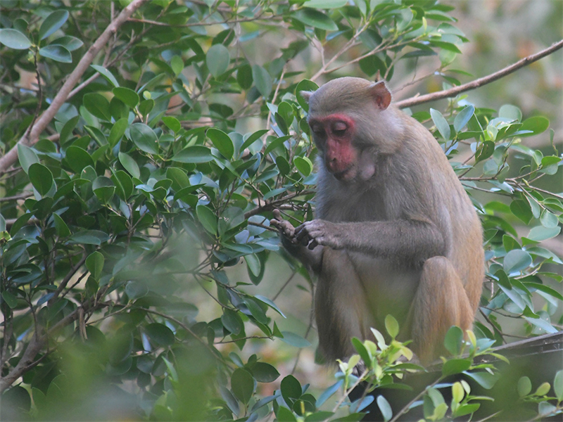 20241224160906_97003