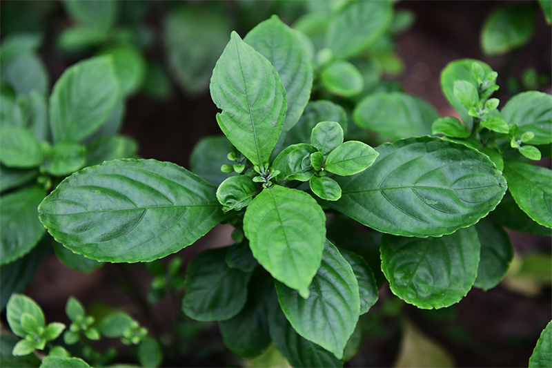 20241231165607_83401