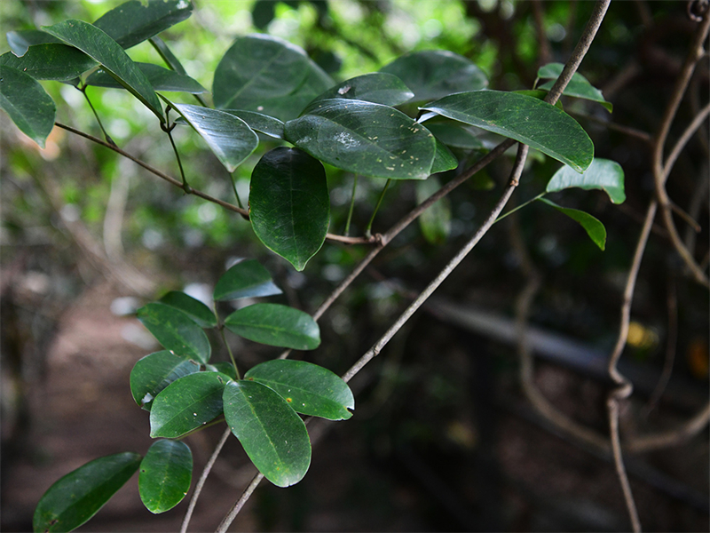 20241231165034_29201