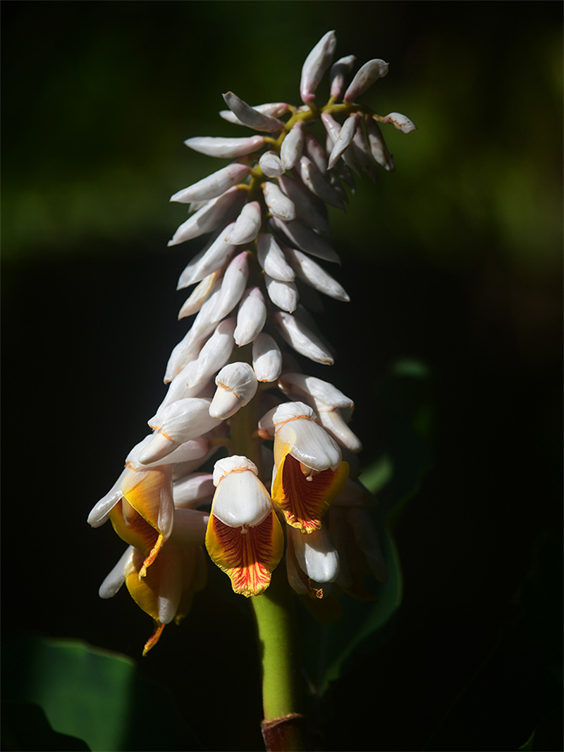 20250305211213_48491 20250305211213_48491