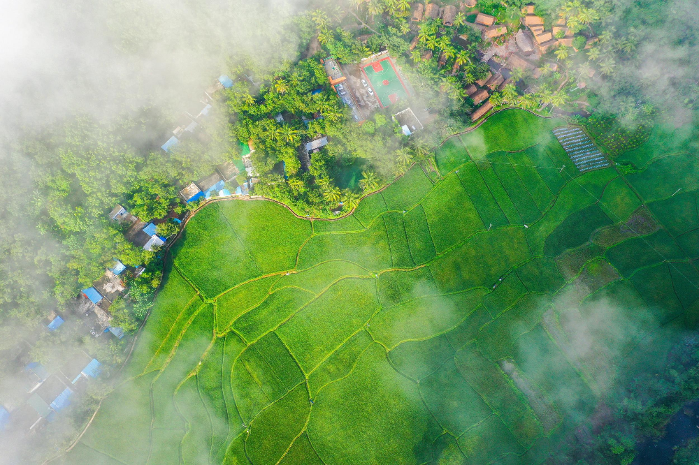 1634033191249611.jpg?x-oss-process=style/w10 (4).jpg?x-oss-process=style/w10